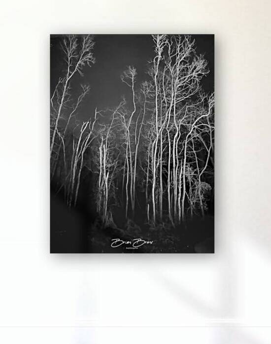 Watermark 1732747480708 by Brian C Bruns