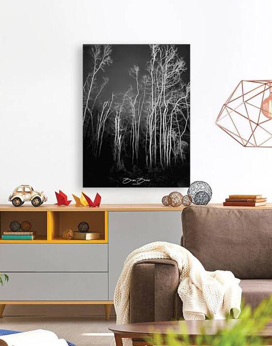 Watermark 1732747480708 by Brian C Bruns