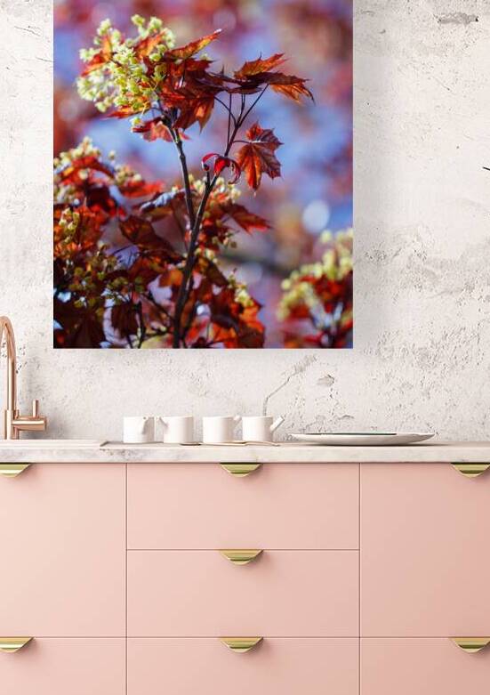 Nature’s Canvas: A Red Maple in Full Bloom by Heather Marie Clark