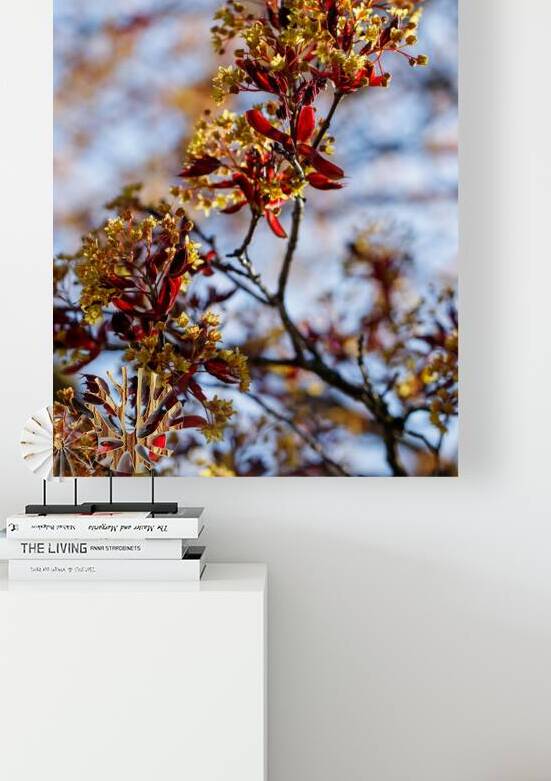 Yellow and Red Dreams: A Maples Whisper by Heather Marie Clark