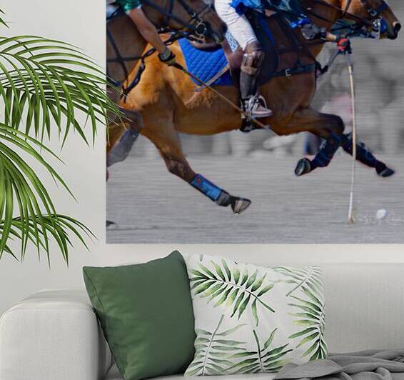 BZ9 6956 Enhanced NR 3 by Susan Lynn Cooke