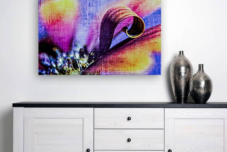 African daisy curl by Heather Marie Clark