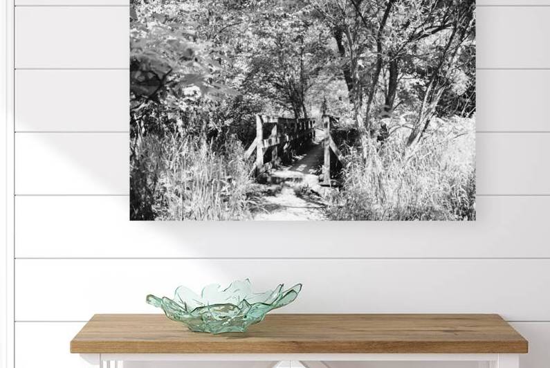 Trail Bridge - 9 Mile Run - B&W by Millie R Lissow