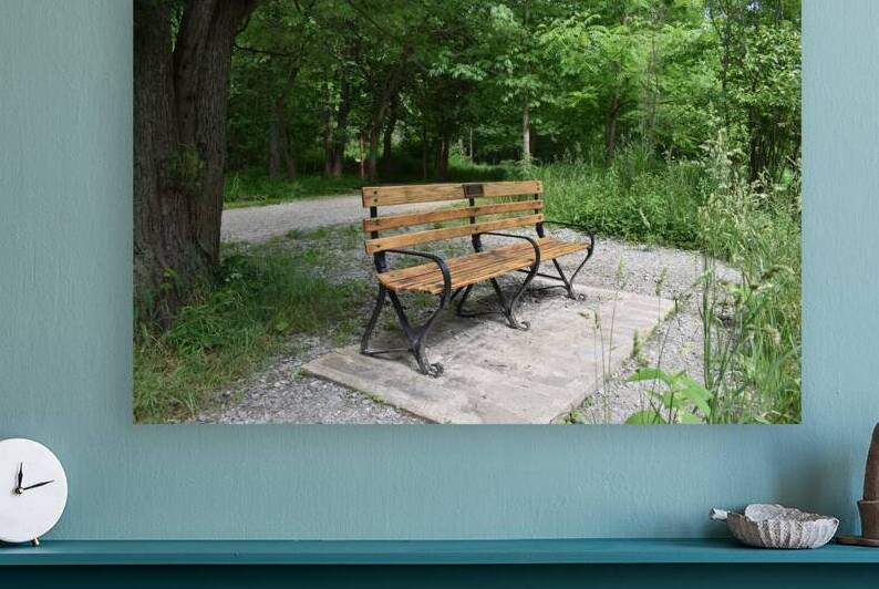 Tree & Park Bench by Millie R Lissow