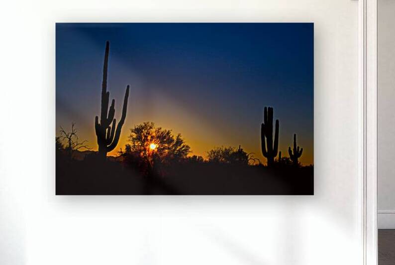 Just Another Sonoran Desert Sunrise by Bo Insogna