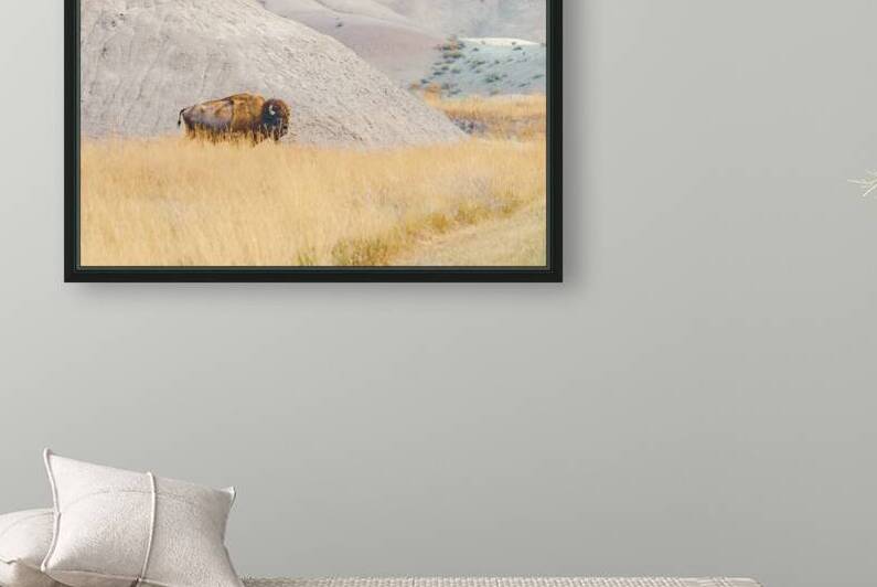 Lone Bison by Geoffrey Prior