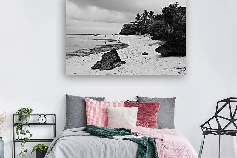 Moalboal Cebu White Sand Beach in Black and White by Bo Insogna