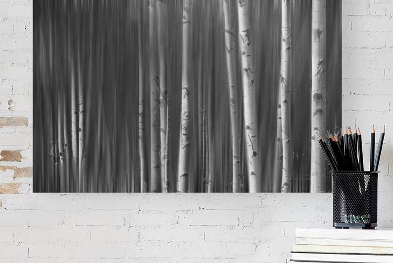 Somewhere Along the Road Dreaming Black and White by Bo Insogna