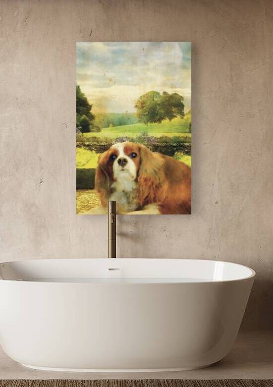 NANCY CALVERT PHOTOGRAPHY: WINSTON UK 1 by Nancy Calvert