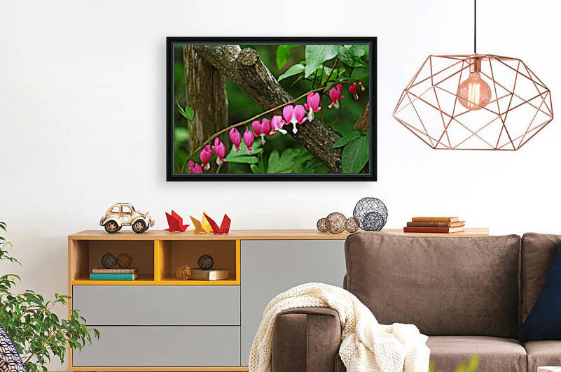 Bleeding Hearts By Arbor by Deb Oppermann