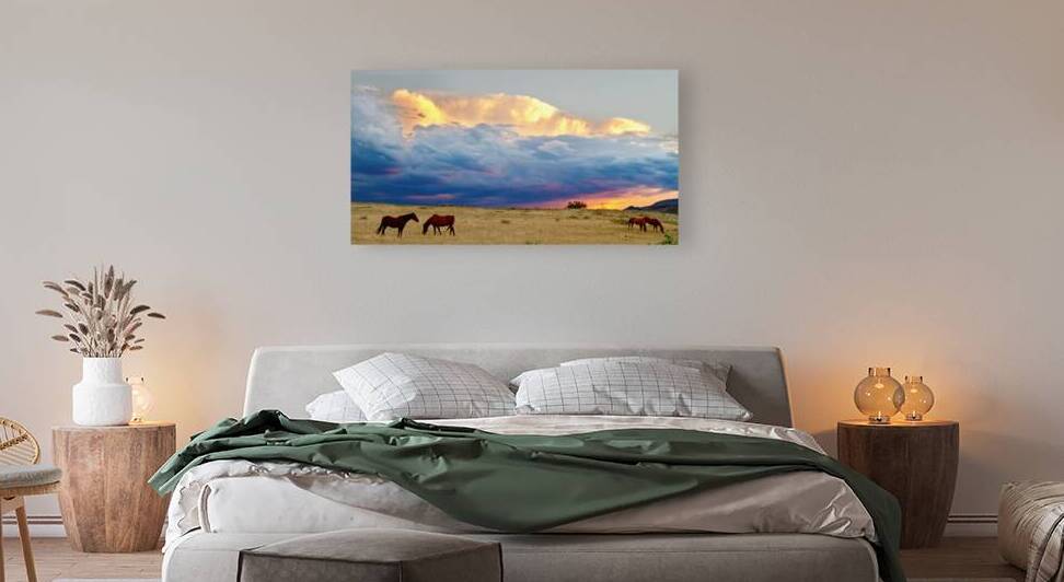 Horses On The Storm by Bo Insogna