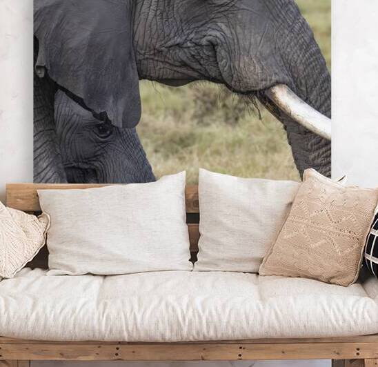 Elephant with baby Amboseli National Park Kenya  by Randy Roy Photography