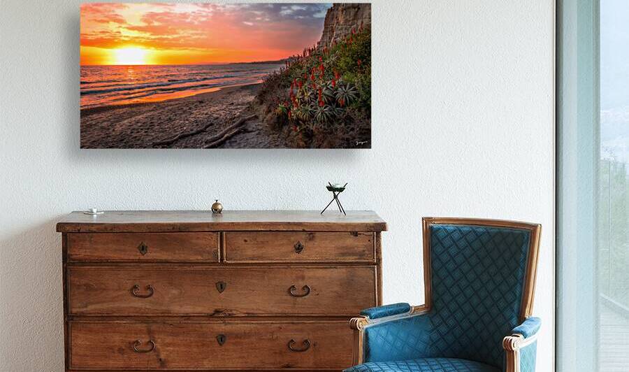 Loon Point- spring in California- landscape ocean art for sale by Jongas Photo