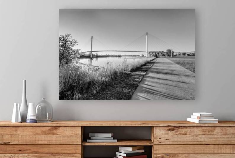 Golden Morning Walk In Omaha Grayscale by Jennifer White