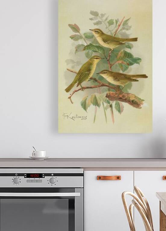 Phylloscopus viridanus. Nitidus. Borealis by Johann Friedrich Naumann [1780–1857] by MyCozyFineArt