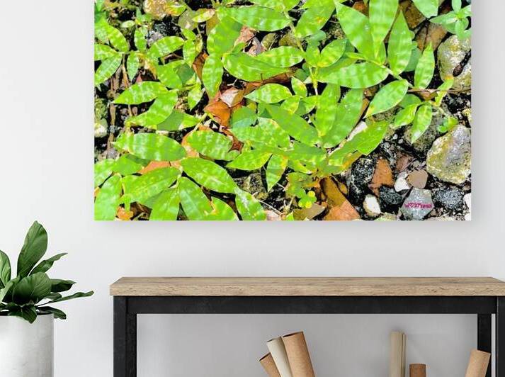 Verdurous by With Love by Marisol