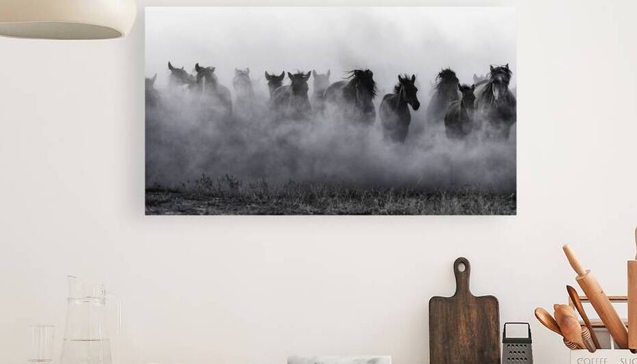 Mustangs by Yavuz Pancareken