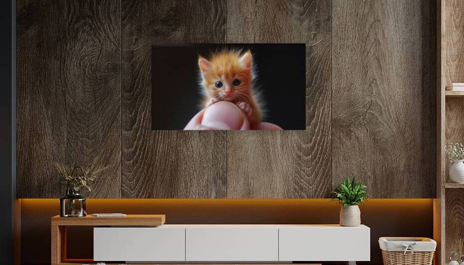 A tiny kitten sitting on a mans finger close up portrait seamless background by Ali Jaber