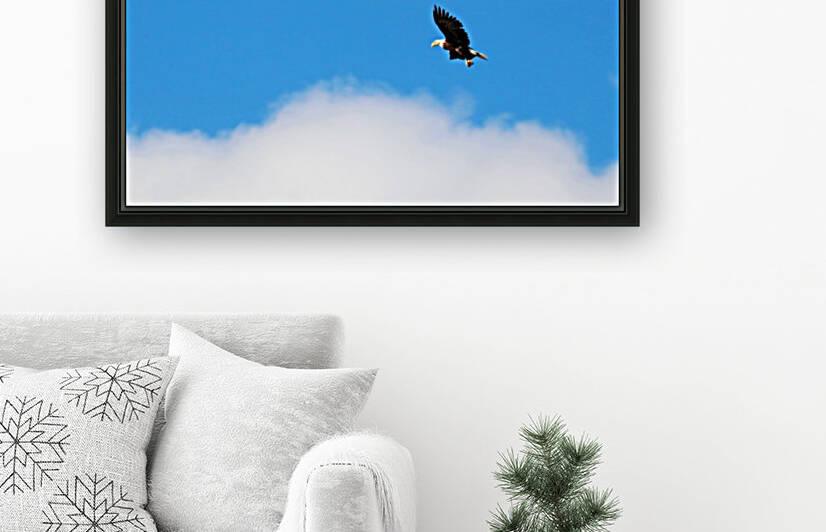 Fly Above The Clouds by Deb Oppermann