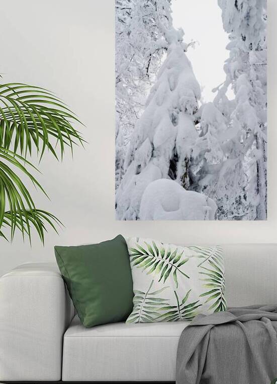 arbre enneigé1 by Marc Andre Laurin