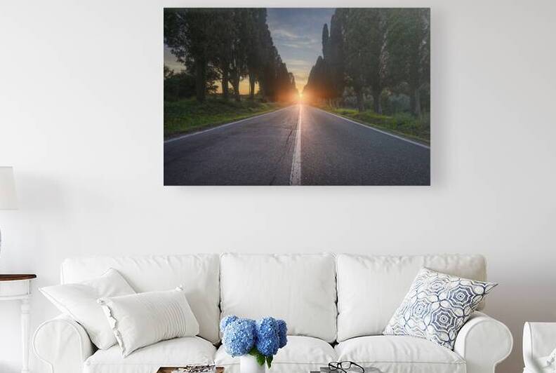 Viale di Bolgheri and the sun in the middle by Stefano Orazzini