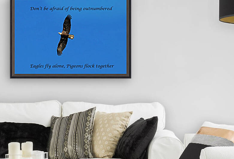 Fly Alone by Deb Oppermann