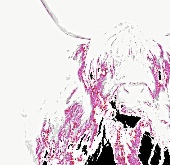 Abstract Pink Minimalist Highland Cow by Catriona Roberts Nature Photography and Designs