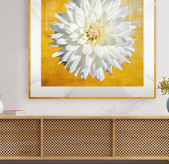 007 010 by Jack Deco