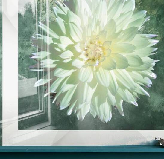 007 013 by Jack Deco