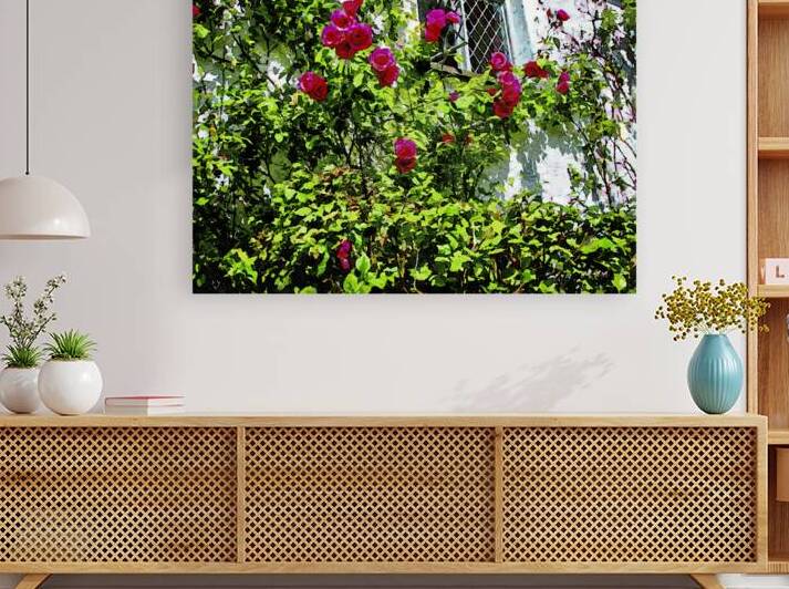 Charming watercolor of roses climbing a rustic house facade by Gestalt Imagery