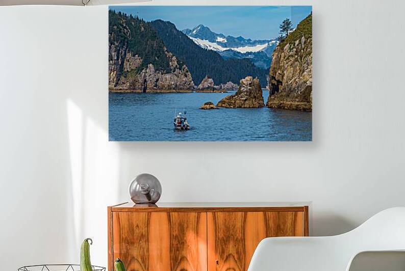 Kenai Fjords Vista by Geoffrey Prior