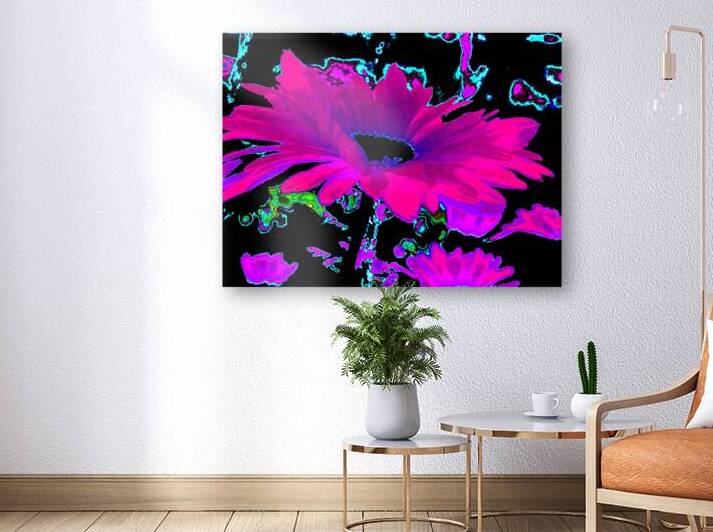 Abstract Neon Contrasting Daises by Catriona Roberts Nature Photography and Designs