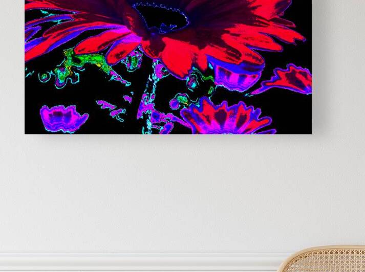 Abstract Psychedelic Neon Daises by Catriona Roberts Nature Photography and Designs