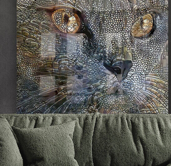 Smokey Blue Cat Portrait by HH Photography of Florida