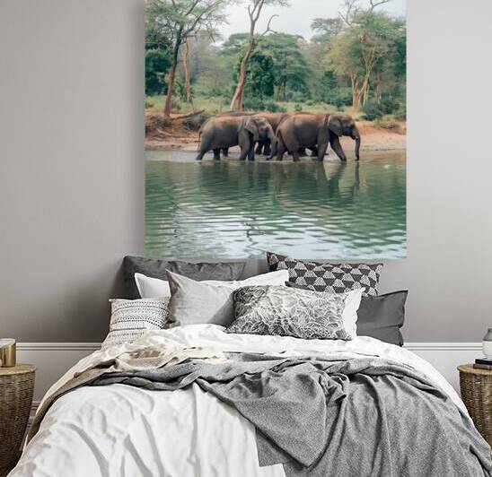 A natural scene in the wilderness with a herd of elephants. by badryano