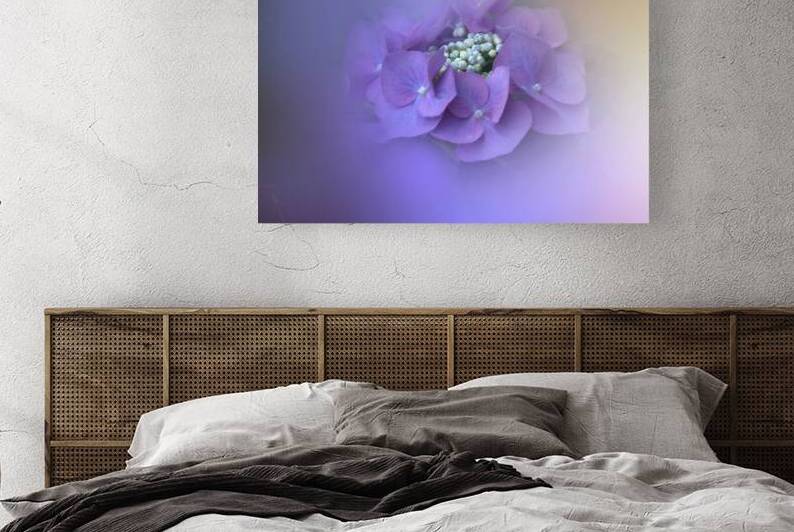 Purple Hydrangea by Joan Han