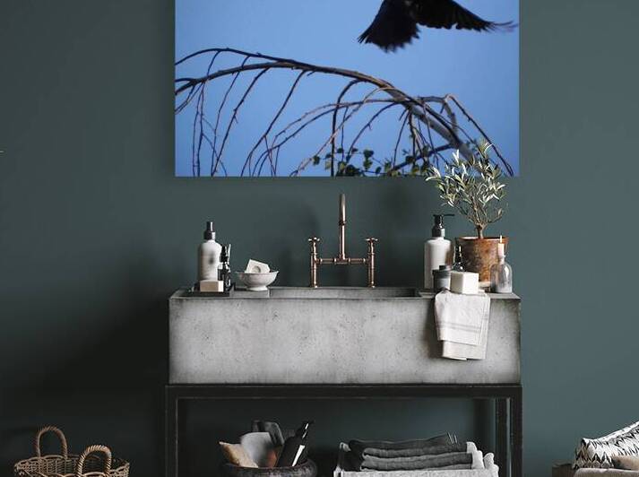 DSCN4699 by BVL PHOTOGRAPHY ART