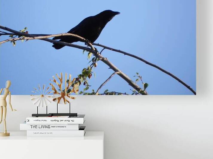 DSCN4696 by BVL PHOTOGRAPHY ART