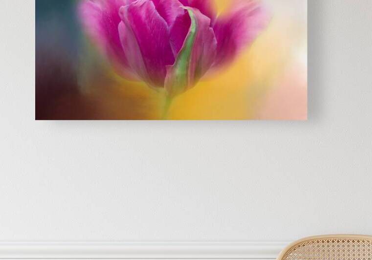 Pink Tulip I by Joan Han