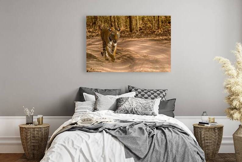 Majestic Bengal Tiger Strolling Through the Forest in Golden Sunlight by AtoZStoreS