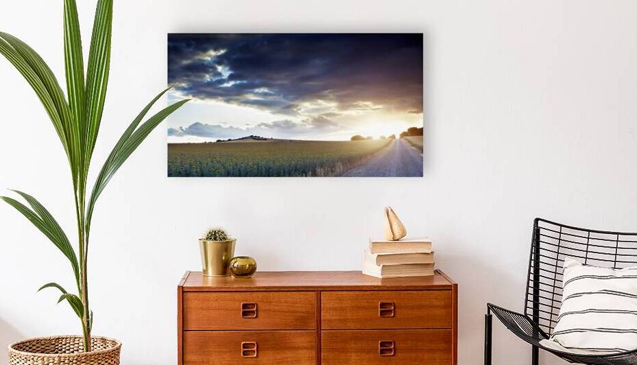 vast field of sunflowers  sunset  warm golden lig by Printing Zone