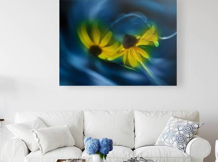 Back-eyed Susans in Dancing by Joan Han