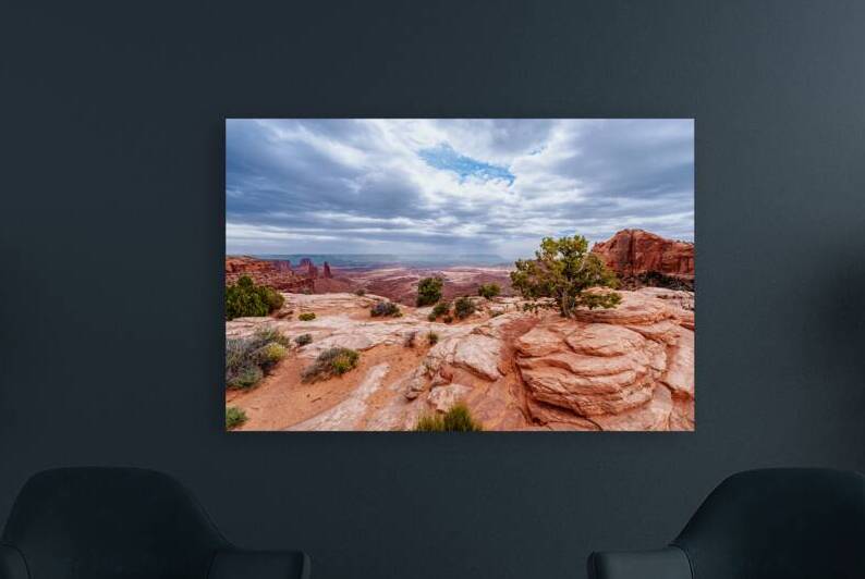 Junipers On Buck Canyon Cliffs Edge by Jennifer White