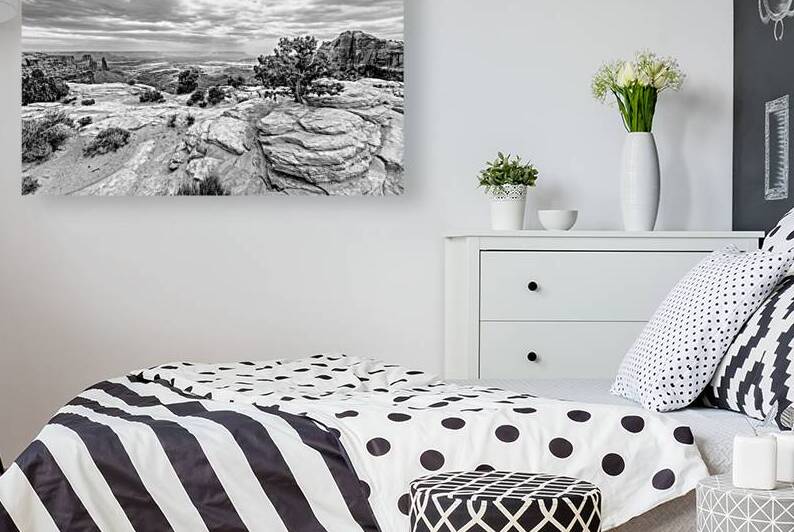 Junipers On Buck Canyon Cliffs Edge Grayscale by Jennifer White