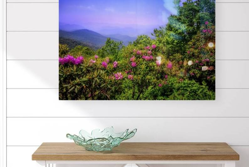Roan Mountain Tennessee Rhododendrons in Bloom by Shelia Hunt Photography