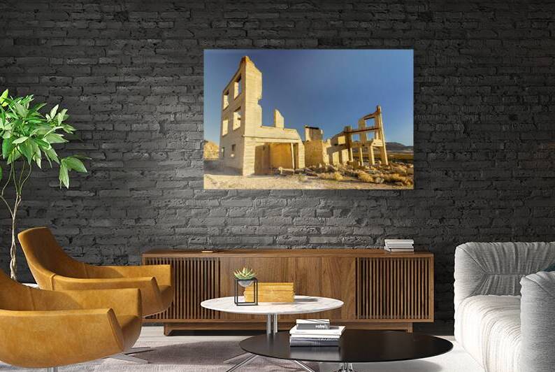 Cook Bank Building - Rhyolite Nevada by Mike Lee