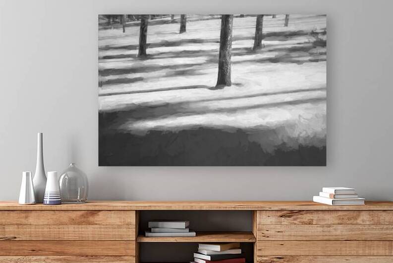 Snow Trees and Shadows Colorado X1 1 by Rich Franco