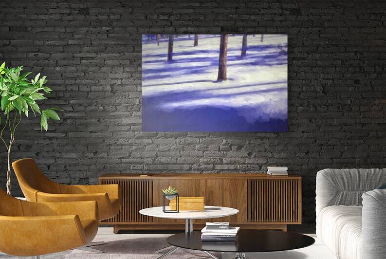 Snow Trees and Shadows Colorado X1 2 by Rich Franco