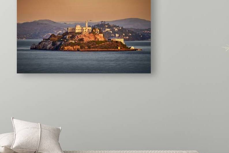 San Francisco Alcatraz Sunrise Birds by Ryan Cameron