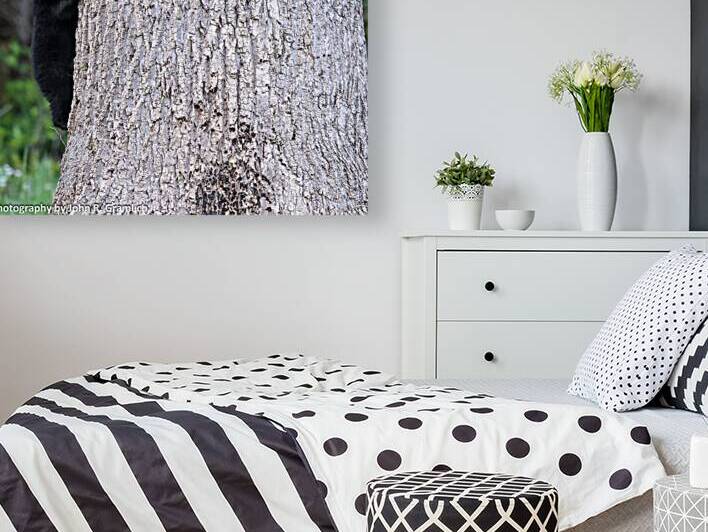 Baby Bear by Vividscope